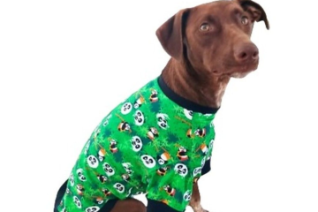 Pet Clothing
